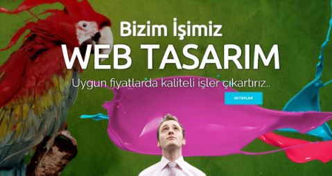 Sakarya Web Tasarım Hizmeti