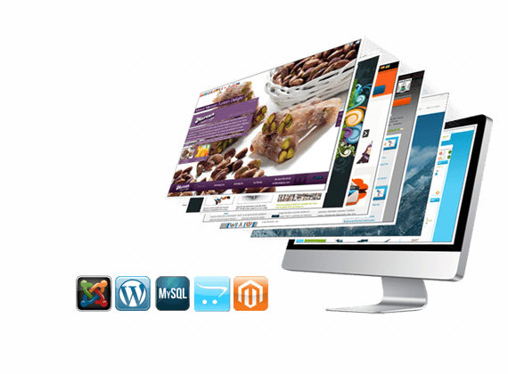 Söğütlü Web Tasarım